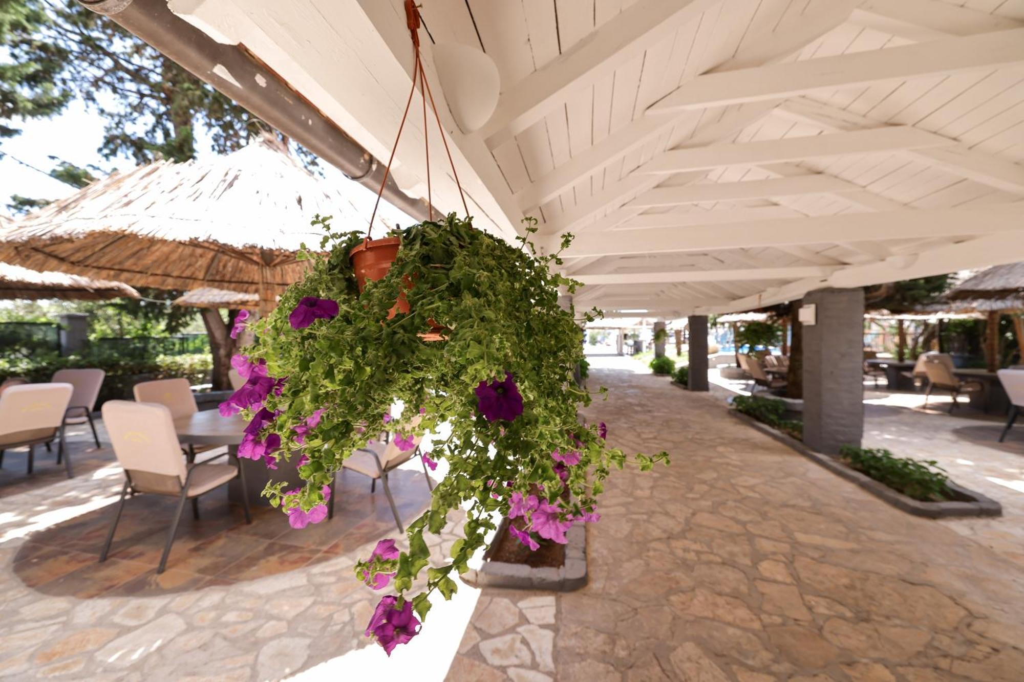 Tribunia Beach Hotel Tribunj  Bagian luar foto